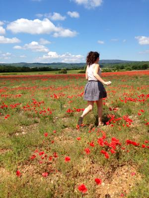 Provence Poppies!!