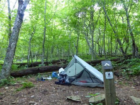 Day 44: Walking With The Kallins