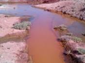 BLM’s Failure Pollutes Colorado River Water Supply With