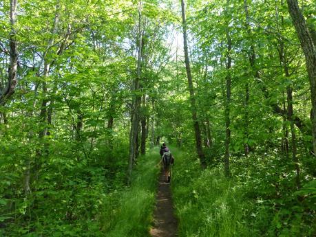 Day 45: Drafting Off Wired Day 45: Drafting Off Wired