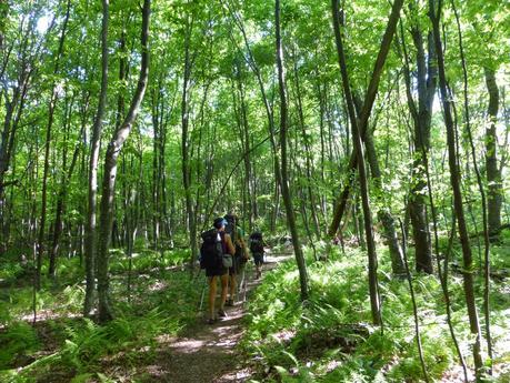 Day 46: Goodbye Shenandoah