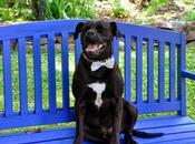 More About Those Prom Pictures