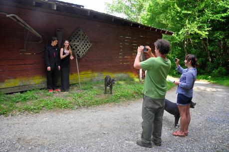 More About Those Prom Pictures