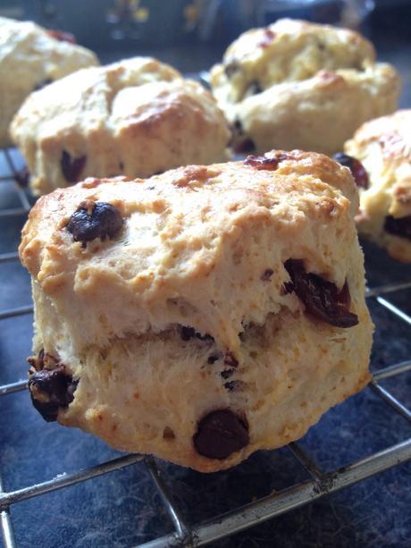 Review Heston Blumental Precision Scales and Recipe for Cranberry and Dark Chocolate Scones