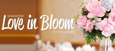 photo contest image with centerpiece
