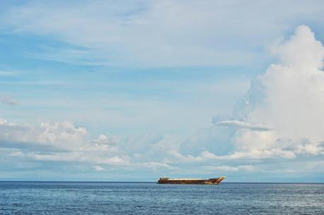 The Dog Days Are STILL NOT OVER