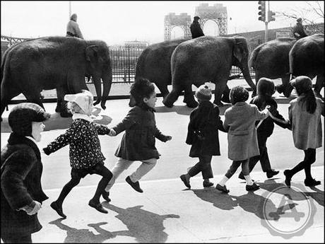 ARTmonday: Archivast archivast-circus-elephants-kids