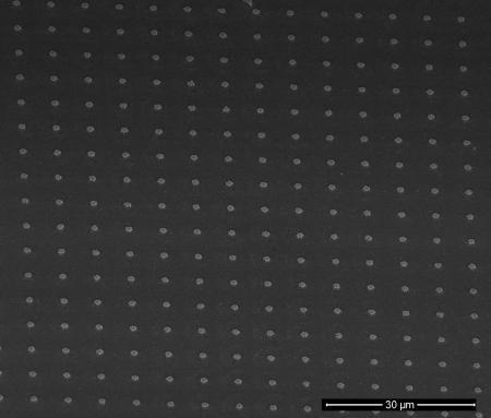 Scanning electron microscope (SEM) image of nickel islands on silicon protected by a titanium dioxide film