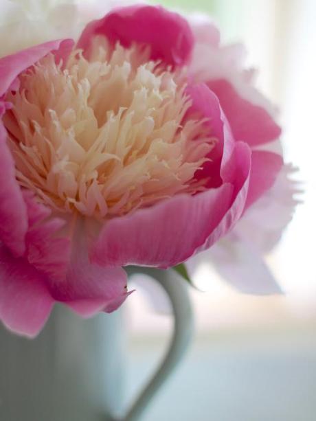 Peony Bowl of Beauty