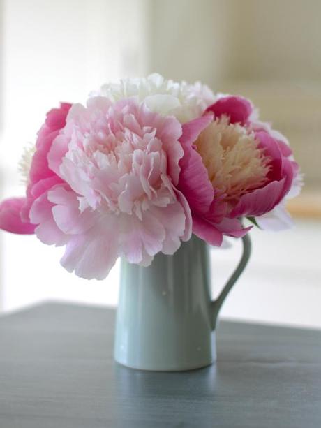 Jug of Garden Peonies