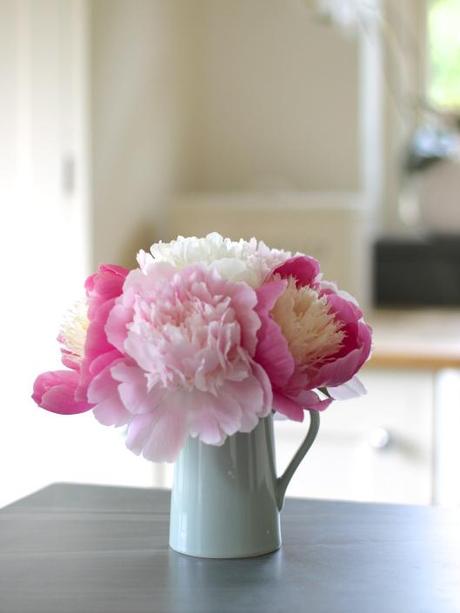 Jug of Garden Peonies