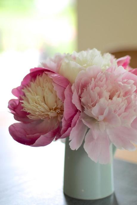 Jug of Peonies