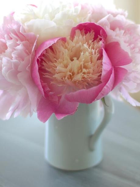 Peony Bowl of Beauty