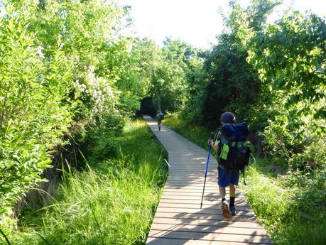 Day 46: A Super Nero In Front Royal, VA