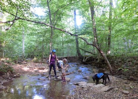 Day 46: A Super Nero In Front Royal, VA