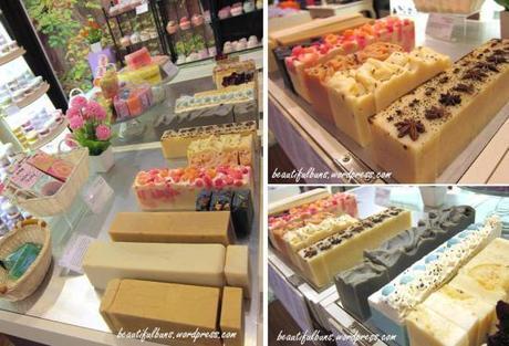 Shea media tour (10)