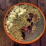 A Chocolate and Vanilla MMAZ with Vega A Chocolate and Vanilla MMAZ with Vega