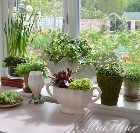 Urban Jungle Bloggers April- Styling with Plants Urban Jungle Bloggers April- Styling with Plants