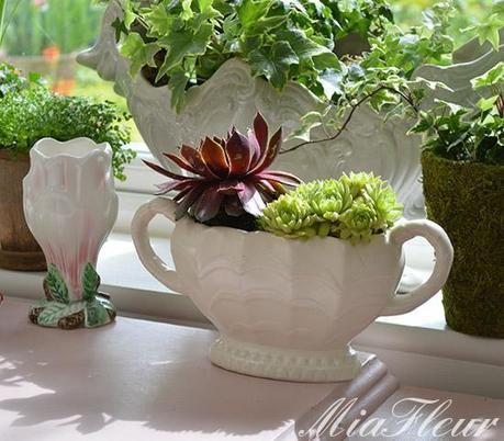 Urban Jungle Bloggers April- Styling your window sill Urban Jungle Bloggers April- Styling your window sill