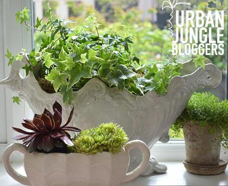 Urban Jungle Bloggers - Styling with Plants