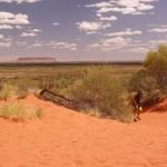 The Australian Outback