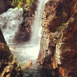 The amazing Florence Falls