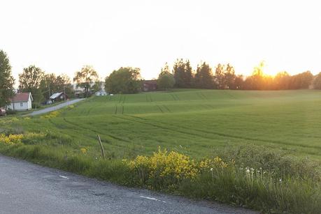 A Lovely Farm in Hedmark