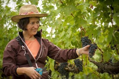 #WW: Meet the Winemaker: Forgeron Cellars