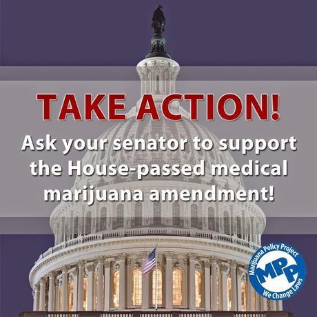U.S. House Votes To Protect Medical Marijuana