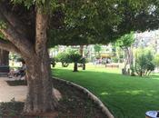 Sanayeh Garden: Enjoy Green Haven Beirut