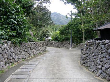 104 0464 喜界島阿伝集落，珊瑚の石垣に囲まれて。/ Aden, a small village, with coral walls around it 