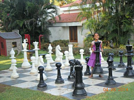 Isn't this chessboard super-duper awesome?  I wish the chess pieces were a little more exotic though