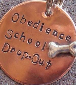 dog obedience training