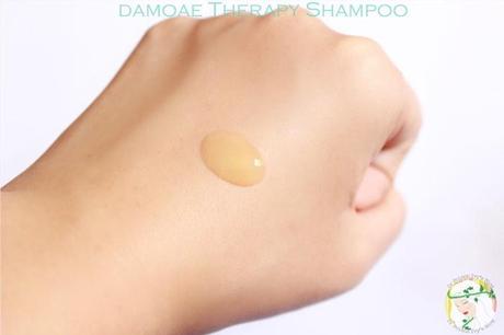 Damoae Therapy Hair Kit Review