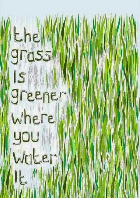 The Grass Is Always Greener