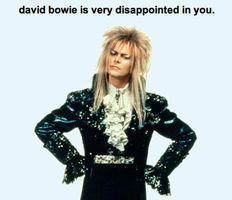David Bowie is ashamed
