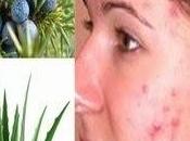 Best Herbs Acne Treatment