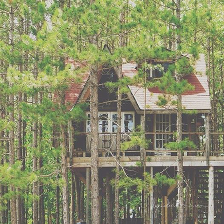 #Treehouse LOVE via DESIGN THE LIFE YOU WANT TO LIVE http://www.lynneknowlton.com/be-weird/ ‎