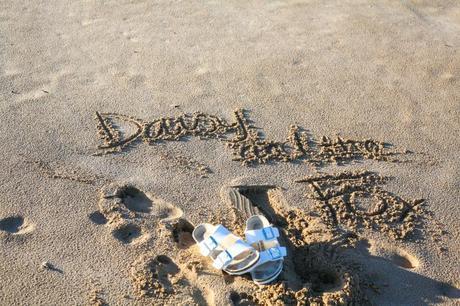 Daisy and the Fox beach