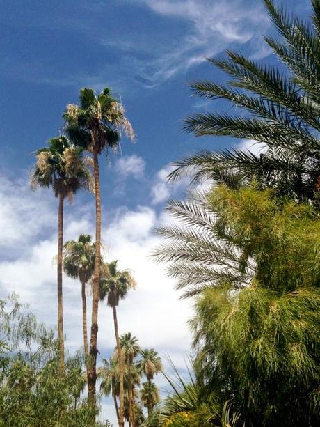 The Parker Hotel Palm Springs