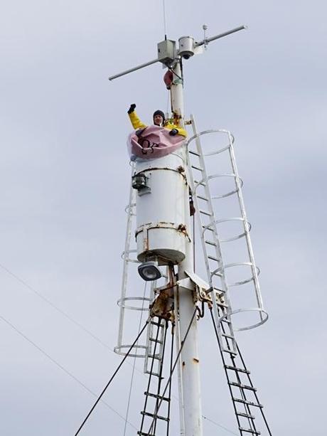 Tourist Chains Himself to Icelandic Whaling Ship anti_whaling_activist_hvalur8_02
