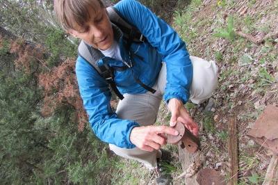  Martha Hahn, director of science at Grand Canyon National Park, says that heavy grazing by the bison has led to soil erosion and invasive plant species. Photo: Carrie Jung 