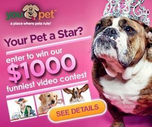 Image: Join The Internet's Premier Social Network For Pets
