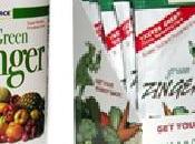 FREEBIE: Green Zinger Powdered Drink (US/CDN)