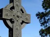 Never Said Anyone That Bodies Were Dumped Septic Tank.”