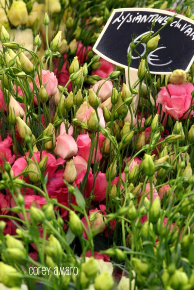 French market flowers