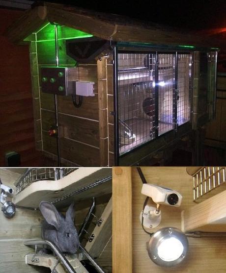 Top 10 Amazing Luxury Pet Houses