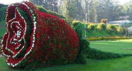 Creation: Flower sculptures flowers5