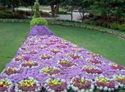 Creation: Flower Sculptures