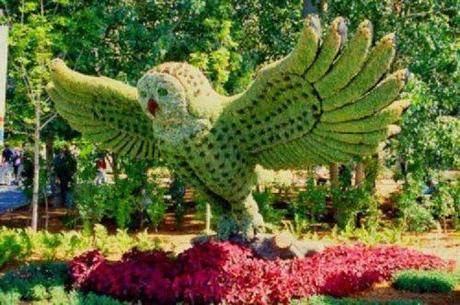 Creation: Flower sculptures flowers6